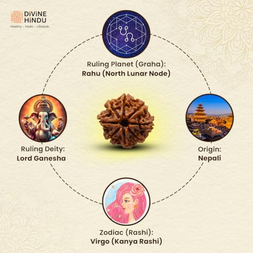 Image of Original 8 Mukhi Original Rudraksha Bead Nepali Origin Lab Certified Symbol of Lord Ganesha Removes Obstacles and Brings Wisdom Meditation, Pooja, Healing for Men & Women