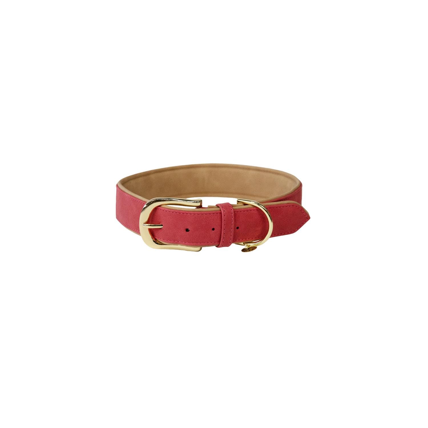 Collier pour chien L cuir rouge idéal pour les balades