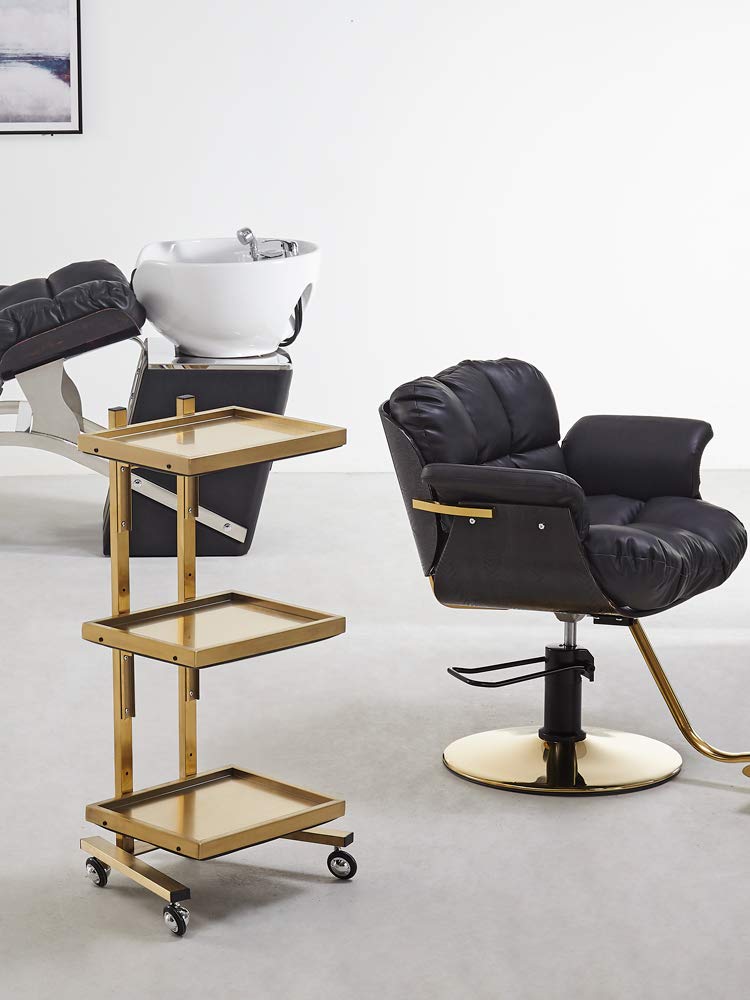 DFEDHF Hairdressing Stainless Steel Cart,Beauty Salon Stroller Japan Hair Salon Tool Cart Folding Table Trolley H/Silver/M(Golden-Medium)