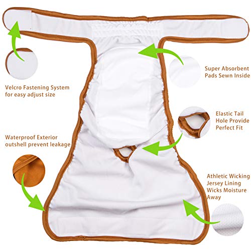 image for Wegreeco Washable Reusable Premium Dog Diapers, Extra Large, Natural C