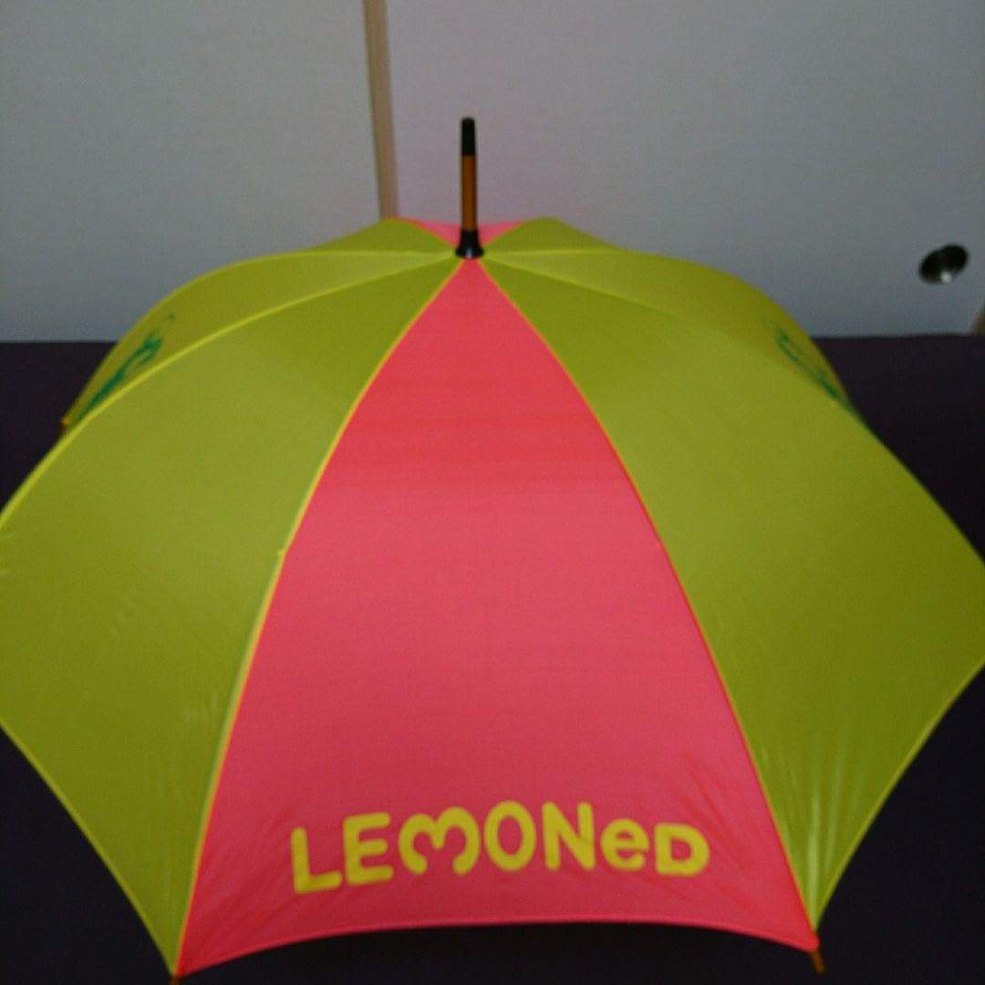 限定 廃番 レモネード hide 傘 アンブレラ XJAPAN ファッション