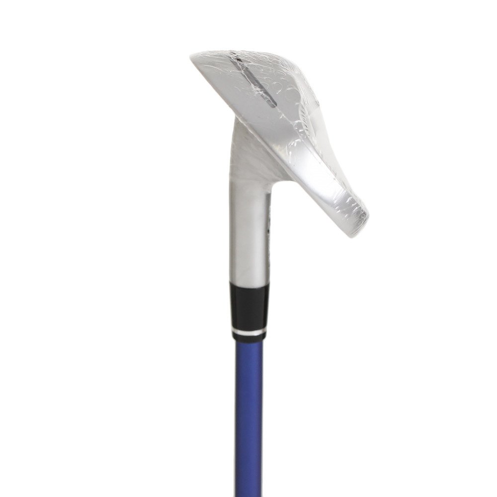 Amazon.co.jp: 本間ゴルフ（HONMA） ウェッジ 46.5度 LB808