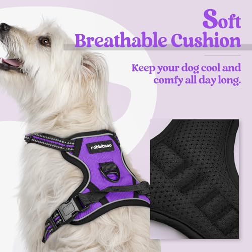 Image of rabbitgoo Dog Harness No Pull with 2 Leash Clips, Adjustable Soft Padded, Reflective Oxford No Choke Pet Vest with Easy Control Handle for Puppy, Purple,XS