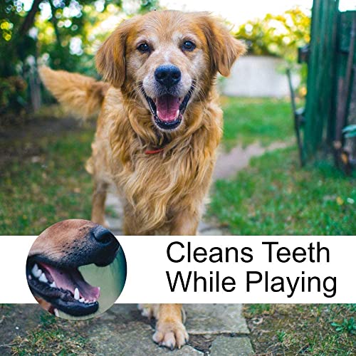 Image of Foodie Puppies Durable Dog Chew Plush Rope Puppy Dental Teething Cleaning Chewing Molar Cotton Knot Clean Teeth Healthy Chew Fun Toy for Puppies (Color May Vary) (Carrot)