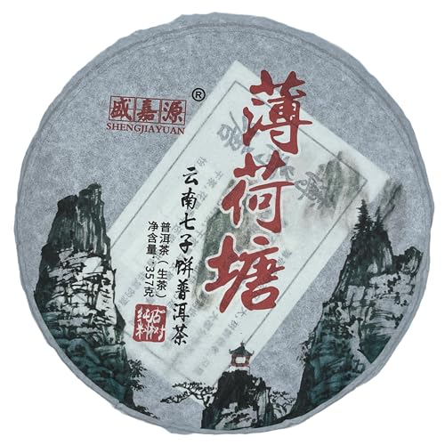 Sheng Puerh Bohetang Mint Pond 2020 - Grand Cru de Thé Vert Pu-Erh Premium 357g