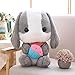 Ankepwj Bambini Compleanno Ragazze Glowing Luminoso Peluche Orso Giocattoli per Bambini 22CM Illuminazione Bianca Orso farcito Regali Adorabili Giocattoli per Bambini Grigio 2