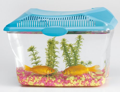 Savic Aquarium Aqua Smile 30 X 20 X 23 cm - bleu / transparent