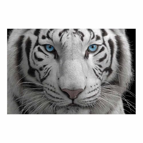 DMZPKZB tableau noir et blanc Le tigre Affiche en Toile, Tableau Décoration Murale Moderne, pour Salon Chambre cuisine Bureau Salle de Bains(Noir et...