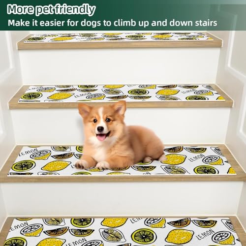 Peldaños de escalera de limones: alfombras decorativas premium 6