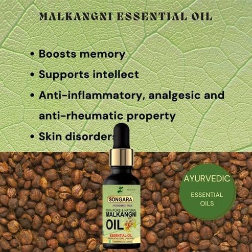 Songara Malkangani Essential Oil - Pure & Natural Best for Aroma Therapy, Hair, Skin & Sleep - Cold Pressed (20ml, pack of 1) Songara Malkangani Essential Oil - Pure & Natural Best for Aroma Therapy, Hair, Skin & Sleep - Cold Pressed (20ml, pack of 1)
