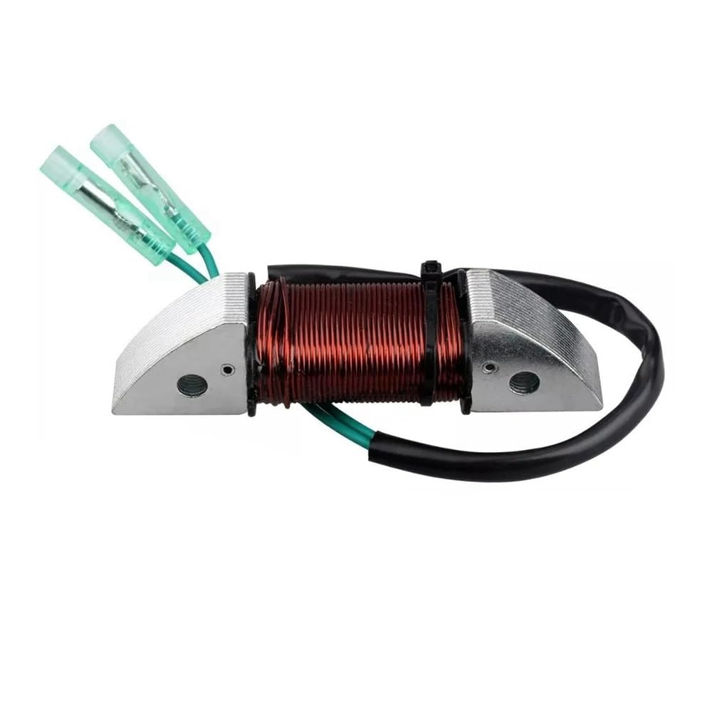JaYYue Alternator for 8HP 9.8HP 2 Stroke Outboard Motor 3B2-06123 3B2061231