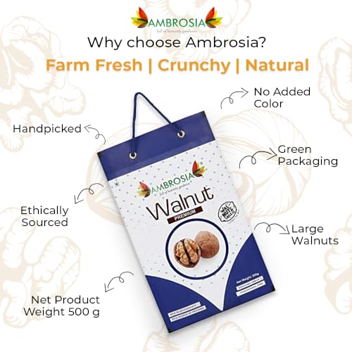 Image of Ambrosia Premium Walnuts with Shell 500g | Chile New Crop Walnuts | Handcrack fresh akhrot