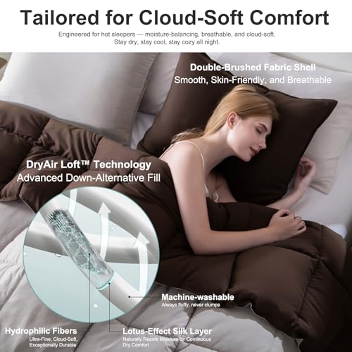 Image of KASENTEX Queen Comforter Set, Reversible,Goose Down Alternative,All Season | 250 GSM Fill, Ultra-Soft, Lightweight, Machine Washable, 1 Comforter + 2 Pillow Shams, Silver Cloud /Chocolate Brown