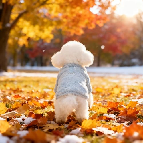 2 Stück Fleece Hundepullover für Kleine Hunde und Katzen, Warme Leichte Welpen Hunde Sweater, Haustier Herbst Winter Pullover Bekleidung (Orange+Blau, S)