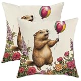 Fanciful - Juego de 2 fundas de almohada decorativas con diseño de marmota con globos, decoración floral colorida de granja para el hogar, sofá, cama, 16 x 16 pulgadas