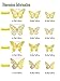 JOSDIOX 3D Butterfly Wall Decor Sticker -48 Pcs, 4 Styles, 3 Sizes Gold Butterflies Decoration for Party, Birthday & Wedding Celebrations, Cake Decorating, Balloons, Removable Stickers.