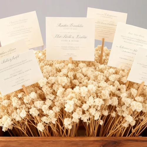 Ramo de 100 flores secas naturales de Gypsophila miniatura 4