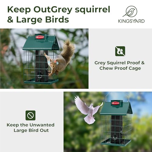 Kingsyard Squirrel Proof Caged Bird Feeder for Outdoor Hanging - Weatherproof Metal Mesh Tube Finch Bird Feeder with 4 Ports for Nyjer/Thistle Seed, Small Birds Goldfinches, Chickadees, Green
