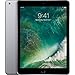 Apple iPad 9.7 with WiFi, 128GB- Space Gray (2017 Model) - (Renewed)