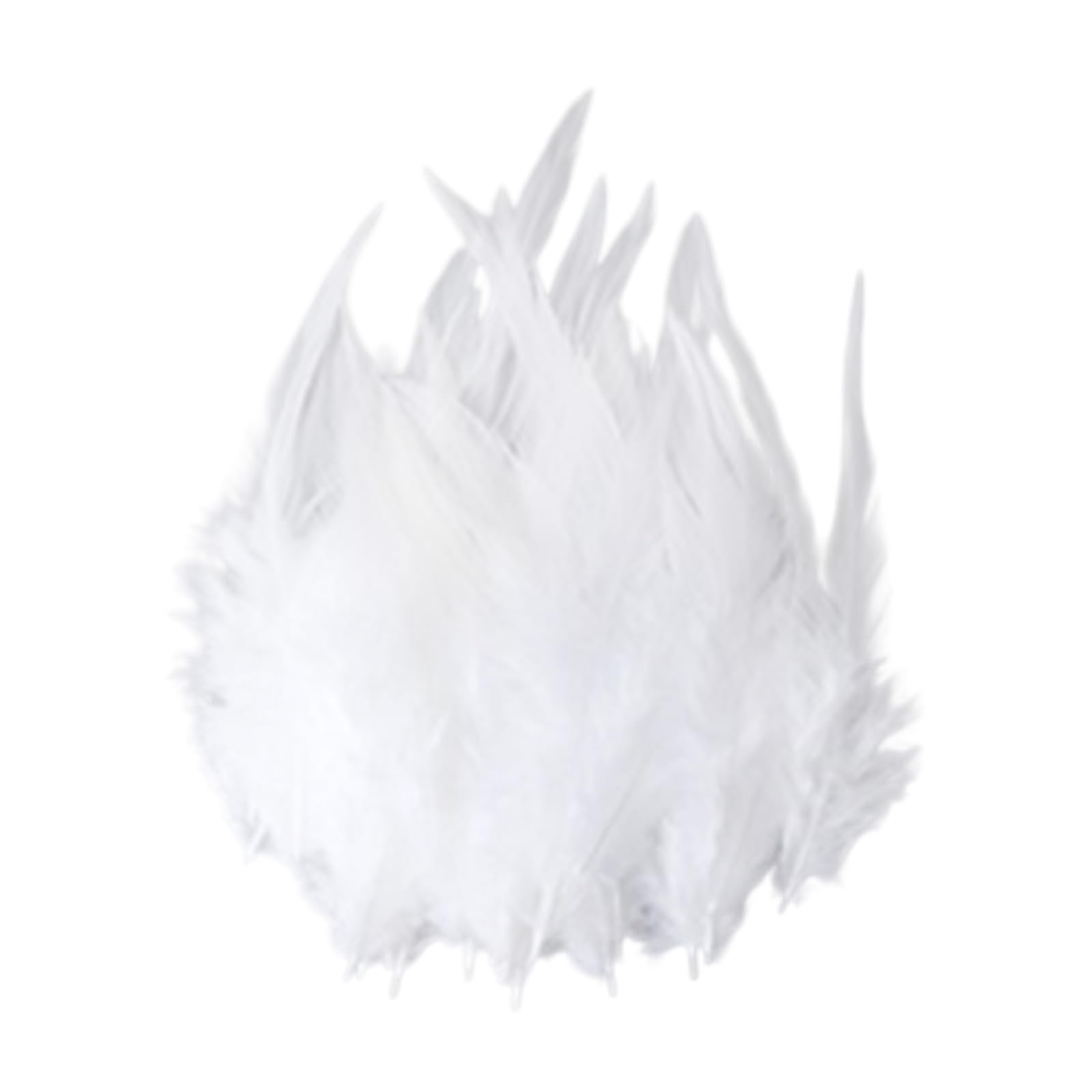Hsioluted 100PCS Soft Plumage for Projects Portable Decorative Materials Ideal for Costume Design and Party Decoration Long Craft Quills