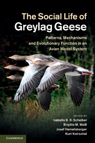 The Social Life of Greylag Geese
