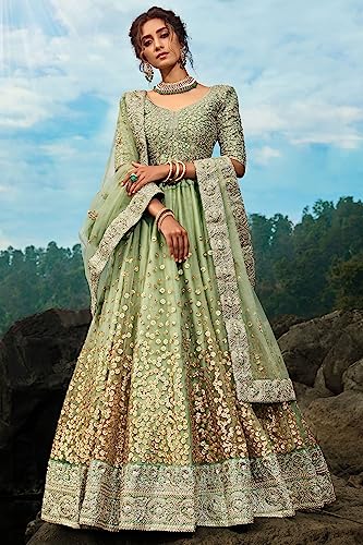 Image of Zeel Clothing Women's Net Semi Stitched Dori & Sequins Embroidered Lehenga Choli With Dupatta Salwar Suit Material (3600-Designer-Wedding-Bridal-Latest-New)