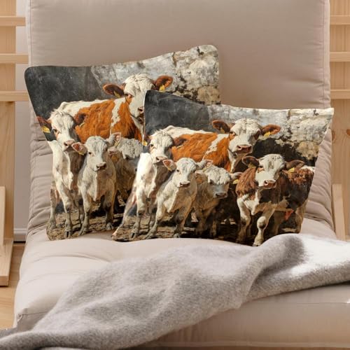 Fundas de cojín 50x50 terciopelo suave decorativas para almohada de sofá 3
