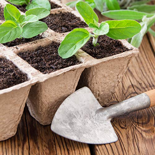 Relaxdays Anzuchttöpfe im Set, biologisch abbaubar, für Pflanzen, eckig, 204 Stück Pflanztöpfe, Zellulose, H: 5cm, beige