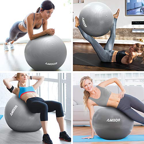 Exercise Ball (65-75CM), AMBOR Extra Thick Anti-Burst & Non-Slip Stability Balance Yoga Ball for Birthing, Pilates, Desk Chairs, Fitness, Quick Pump Included