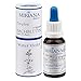 Produktbild MirianaFlowers Water Violet 20ml Bachblüten Stockbottle