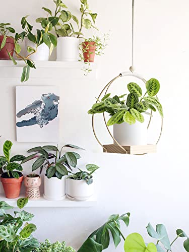 Dravmola Macrame Plant Hangers With Wood Base -2 Pack Boho Hanging Plant Holder For Indoor Plants Hanging Planters For Wall/Window/Room Decor Gold (Pot & Plant Not Included) #TOP2
