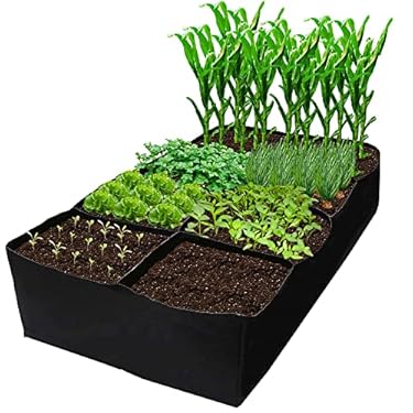AMAZON - CJGQ Fabric Raised Garden Bed 6x3x1ft Garden Grow Bed Bags for Growing Herbs, Flowers and Vegetables 128 Gallon