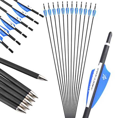 limaity Archery 31Inch Targeting Arrows Carbon Arrow 1000 Spine Practice Target Arrow 2 Inch Rubber Feather for Traditional Recurve Bow and Compound Bow Longbow (Blue, 12)