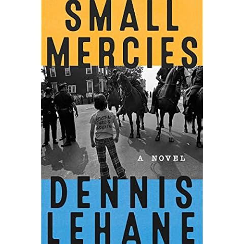 Small Mercies: A Novel Cover