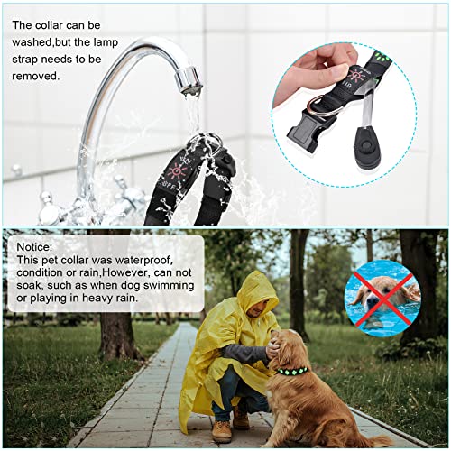 AUAUY Hundehalsband Leuchtend, LED Leuchthalsband Hunde Halsband USB Wiederaufladbar Wasserdichtes für Kleine Mittlere Große Haustier Einstellbar Sicherheit Kragen mit 3 Beleuchtungsmodi (Blau-S)