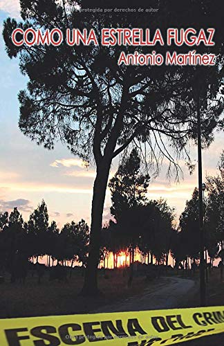 Como una estrella fugaz