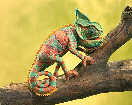 Folkmanis Small Chameleon, Brown/a