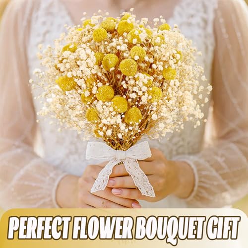 50 Pzas Flores Secas Billy Balls y Baby’s Breath miniatura 5