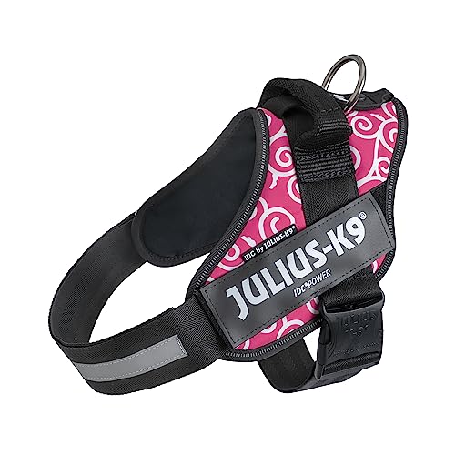 IDCp[n[lX, TCY: L/1, sN