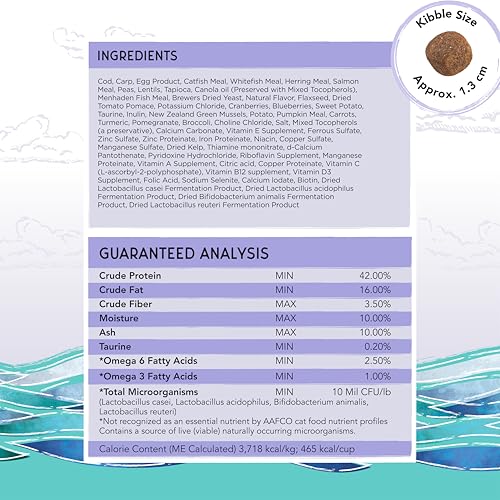 Image of Blackwood Bounty Dry Cat Food, Cod & Carp Recipe for All Life Stages, 4.5 Pound Bag, High Protein, Grain Free