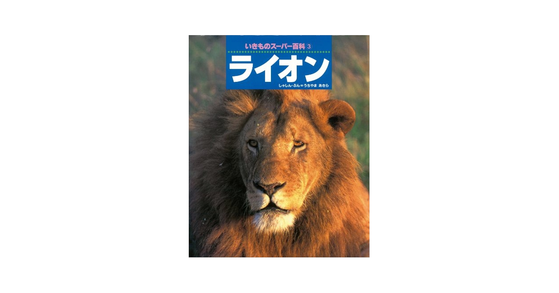 Amazon.co.jp: ライオン (いきものスーパー百科 3) : 内山 晟