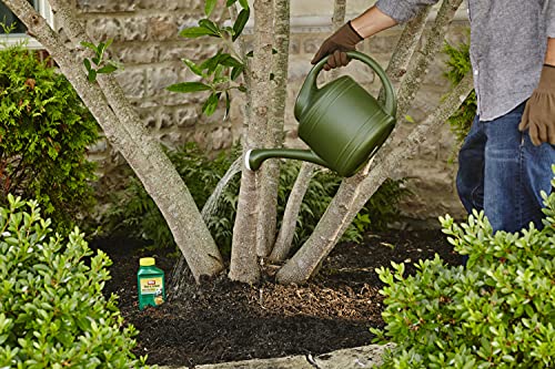 Image of Ortho Tree & Shrub Fruit Tree Spray, 16 fl. oz. (6-Pack)