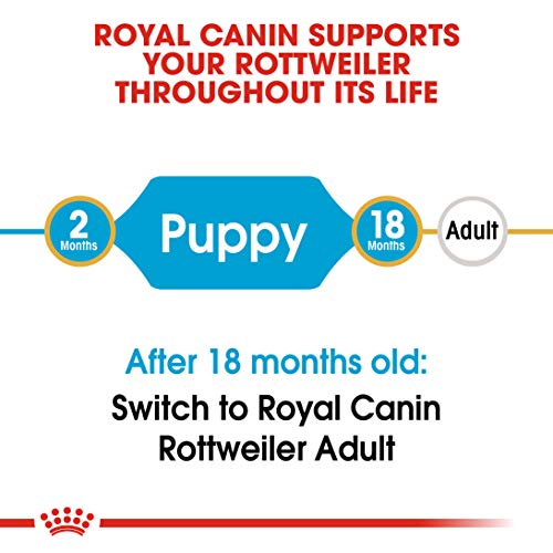 Royal Canin Rottweiler 31 Junior 3 kg, 1er Pack (1 x 3 kg)