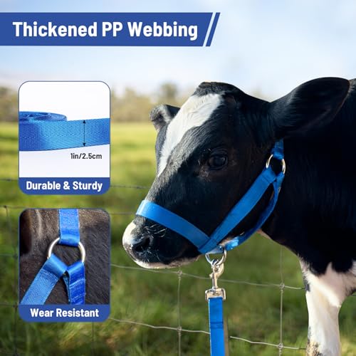 XUANNIAO Easily Adjustable Figure 8 Cow Halter, Double-Ply Premium Livestock Cattle Halters, Colorful Cow Utility Calf Halter with Leading Rope for Miniature Horse Donkey Goat Foal (Small, Black) - Thumbnail 6