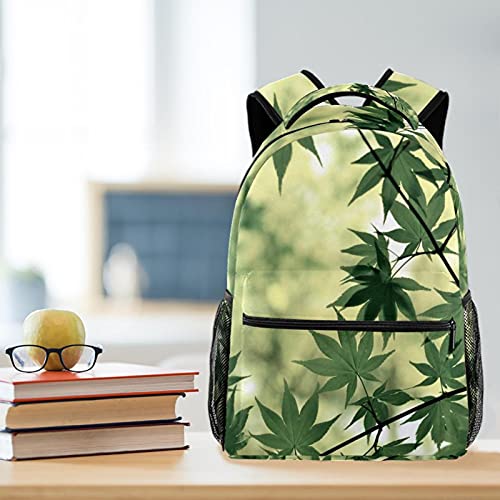 Sac à dos campus porte-bouteille voyage branches vertes
