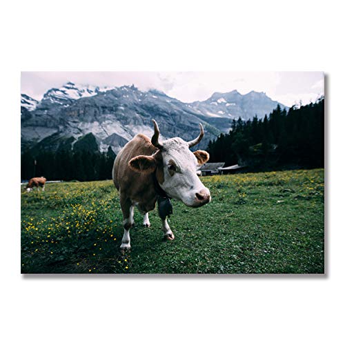 Art mural vache des Highlands tableau encadré anti mur vide