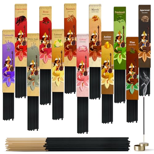 Incense Sticks Variety Pack-240 Insence-Sticks (12Incents x 20 Insense) -White Sage Palo Santo Dragons Blood Sandalo-Natural Inscents-Sticks Non Toxic Cleansing Incienso?Slow Burning Inscents