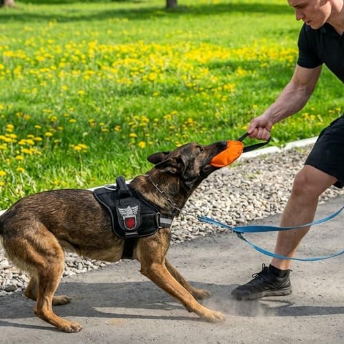 Dingo Gear Beißwurst,Berta'' mit 1 Griff #14cm Dicke 3 cm aus französischem Material (Nylcott) für Hundetraining IGP IPO Obedience Schutzhund Hundesport Blau S00091
