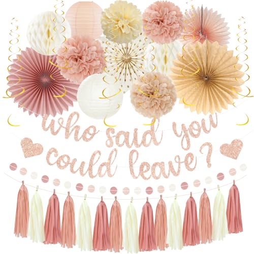 Image of Roetyce Farewell Party Decorations Women, Pink Glitter Who Said You Could Leave Banner, Blush Pink Going Away Leaving Goodbye Party Supplies for Coworker Friends, Retirement Photo Backdrop Background