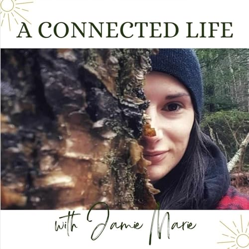 A Connected Life cover art